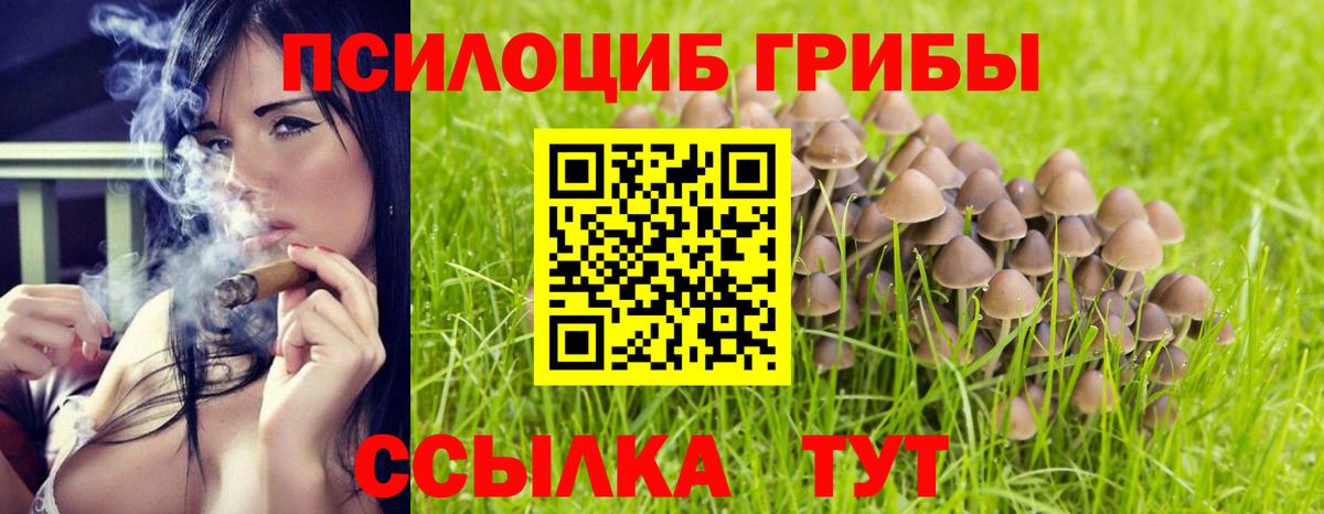 Галлюциногенные грибы MAGIC MUSHROOMS  Вход с VPN  Октябрьский 